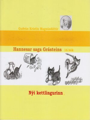 cover image of Hannesar saga Grásteins - 16. bók